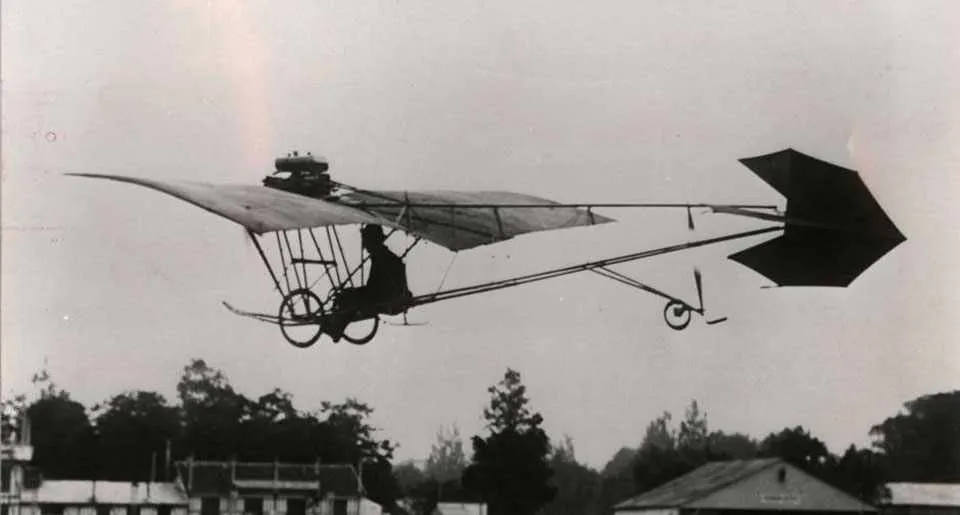 A Demoiselle